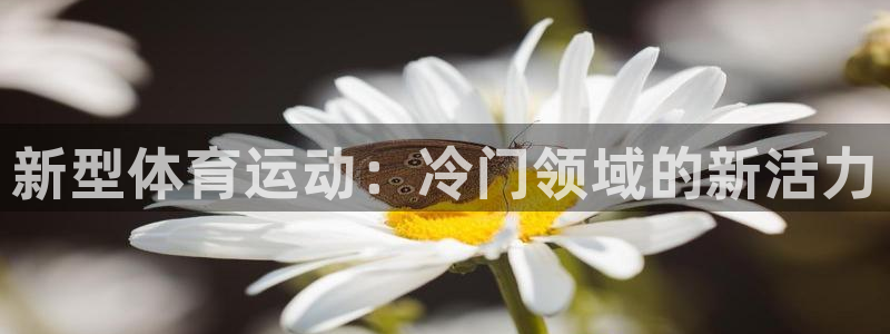球客岛