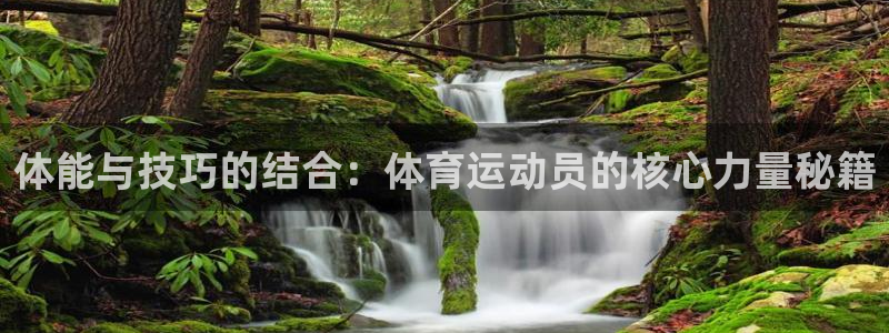 球客岛