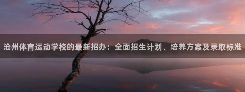 球客岛