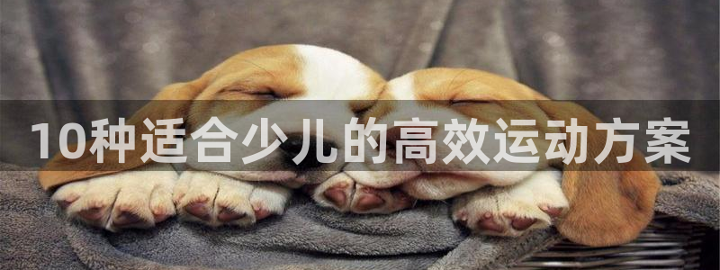 球客岛
