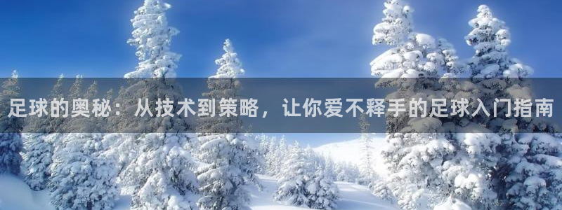 球客岛
