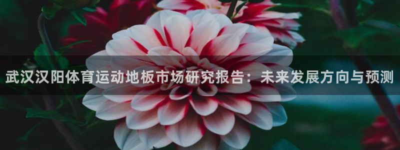 球客岛