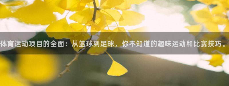 球客岛